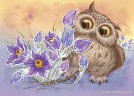 Весенние Совушки