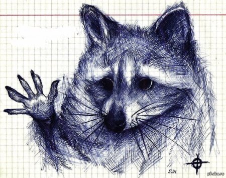 Рисунки ручкой животные