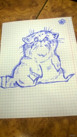 Рисунки ручкой в тетра