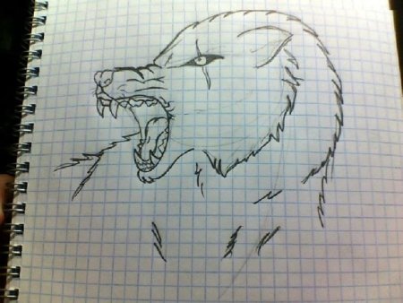 Листы для блокнота в клеточку