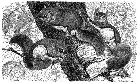 Пейзаж с животными карандашом