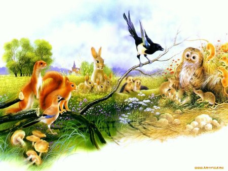 Рисунки природы