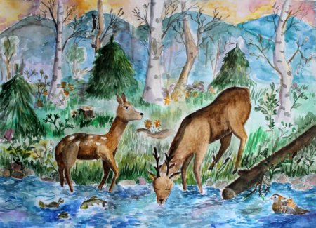 Животные Африки раскраска