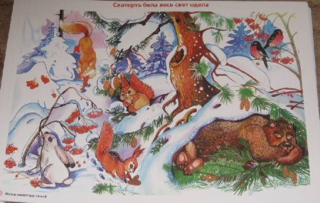 Бездомные животные глазами детей