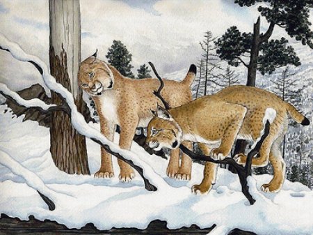 Карикатуры животных