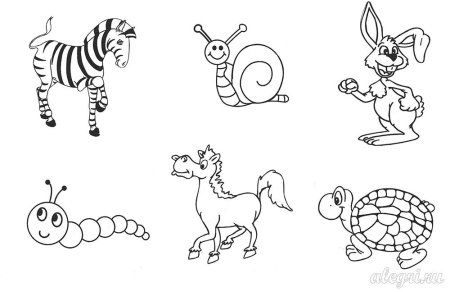 Раскраска звери