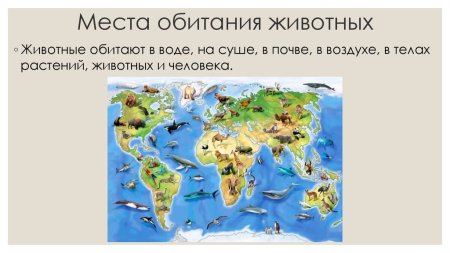 Ареал обитания крокодилов на карте мира