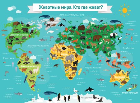 Северная Америка материк с животными