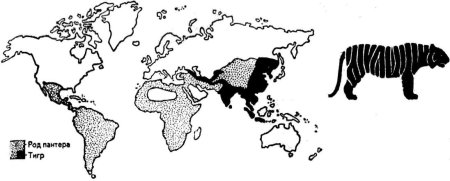 Карта России где живут животные