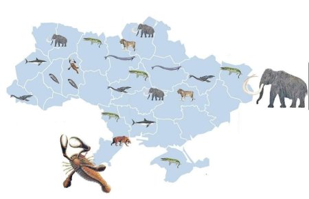 Места обитания животных