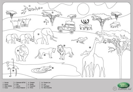 Ареал обитания динозавров
