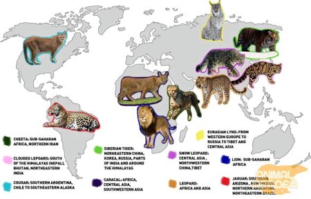 Карта обитания динозавров