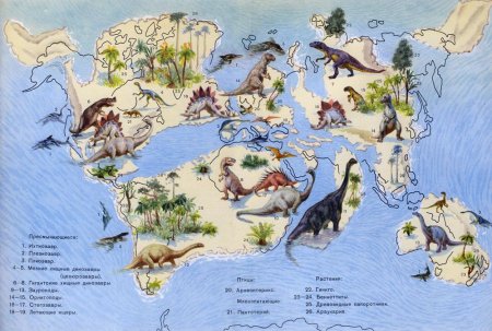 Среды жизни животных