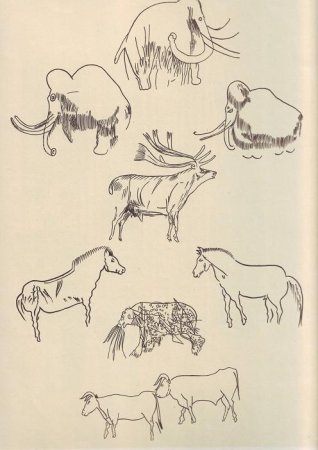 Зарисовки животных на которых охотились первобытные люди