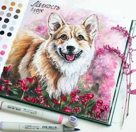 Скетчи животных маркерами