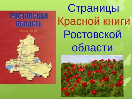 Растения и животные Ростовской области занесенные в красную книгу