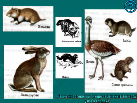 Степные животные Ростовской области