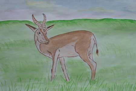 Рисунок на тему животные