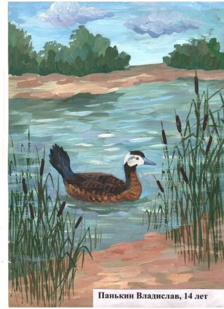 Рисунки природы