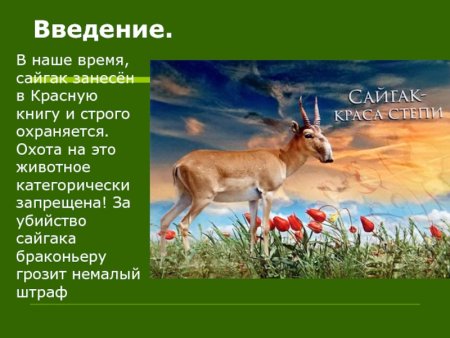 Сайгак красная книга Ростовской области