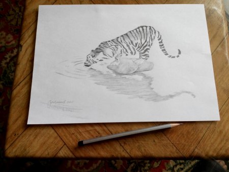 3д рисунки карандашом