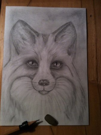 Рисунки на альбомном листе