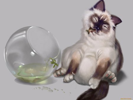 Кот и аквариум рисунок