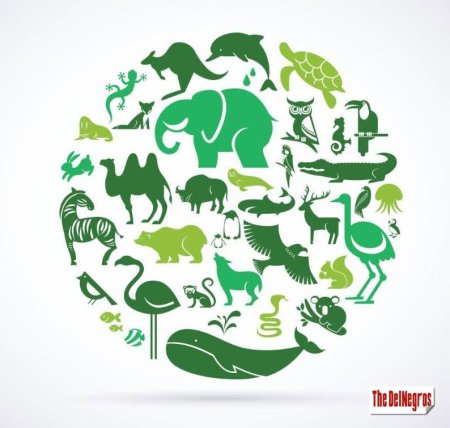 Символ защиты животных