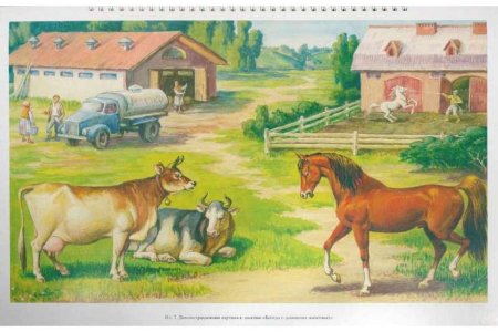 Конкурс рисунков бездомные животные