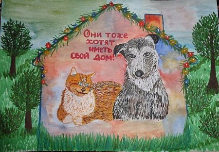 Экология животных