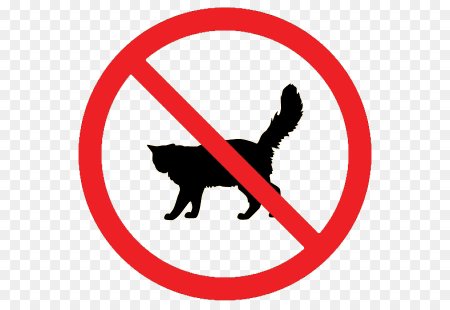 Коты запрещены