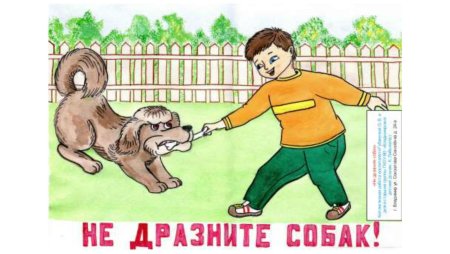 Не дразните собак