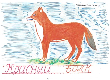 Рысь рисунок детский