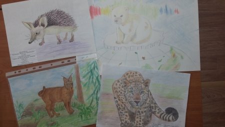 Что такое заповедник для детей