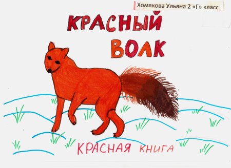 Нарисовать животное из красной книги 2 класс