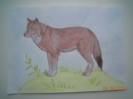 Красная книга рисунок