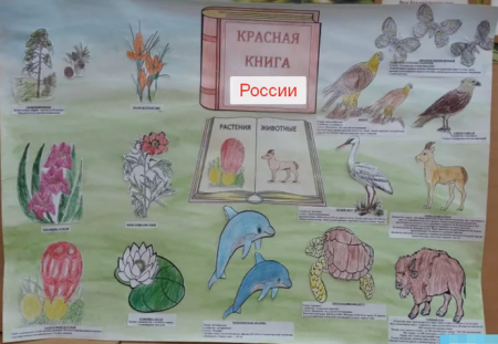 Рисование животные в лесу