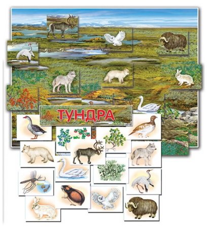 Природные зоны «растения и животные севера и тундры»