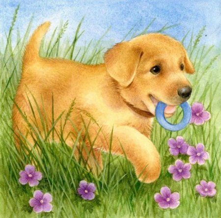 Собака картина для детей