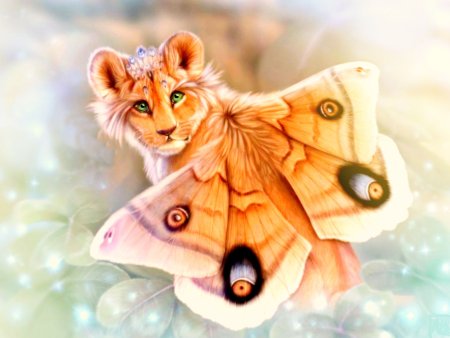 Фантастические бабочки