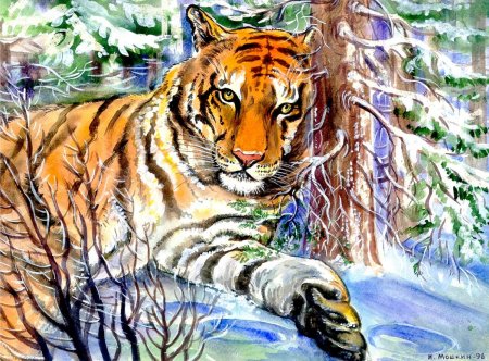 Амурский тигр живопись