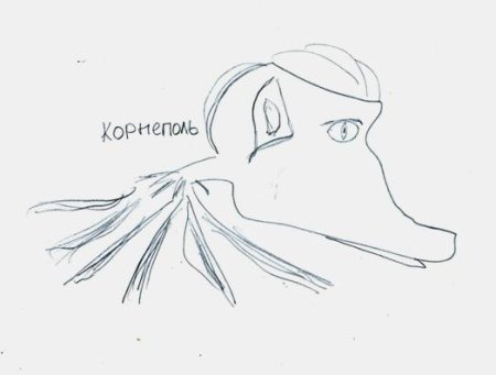 Рисунок несуществующего животного