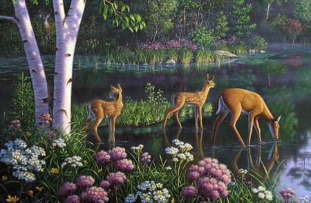 Kim Norlien американский художник