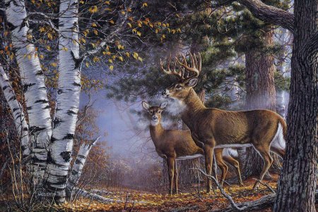 Художник James Meger