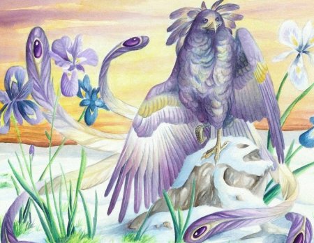Фантастическая птица рисунок