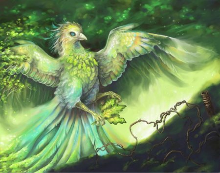 Фэнтези птицы