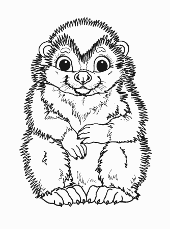 Раскраски зверюшки печать