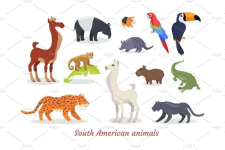 Рисунки животных Южной Америки