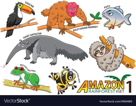 Животные Южной Америки мультяшные