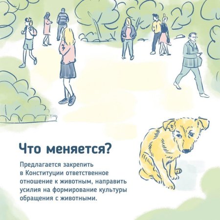 Проблема ответственного отношения к животным